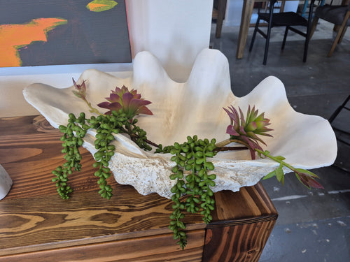 Polyresin Clam