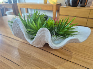 Polyresin Clam