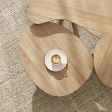 Load image into Gallery viewer, Klippies Coffee Table