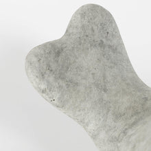 Load image into Gallery viewer, Wynne Bird