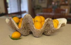 Polyresin Clam