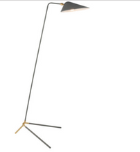 Load image into Gallery viewer, Anika Floor Lamp
