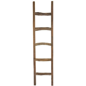 Driftwood Ladder