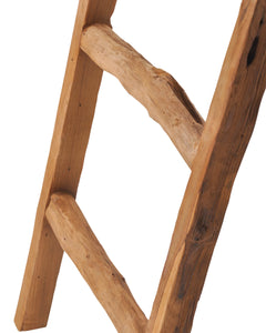 Driftwood Ladder